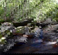 Kangaroo River - Accommodation Cairns