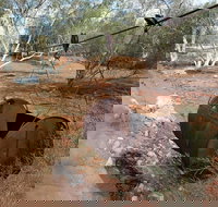 Kingsford Smith Mail Run - Accommodation Cairns