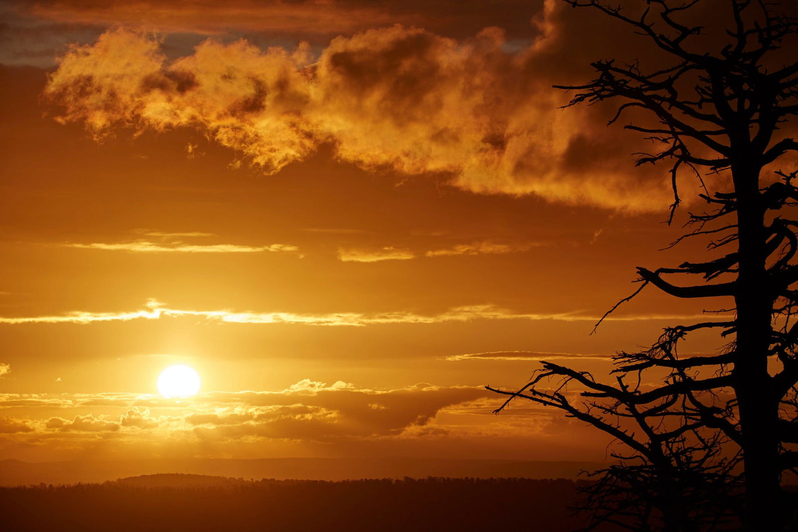 Kinglake Central VIC Accommodation Cairns