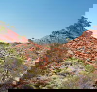 Lark Quarry Conservation Park - Accommodation Cairns