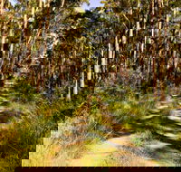 Mining Road Fire Trail Old Gibber Road Rire Trail - Accommodation Cairns