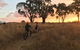 Mountain Bike Trails Tumbarumba - thumb 2