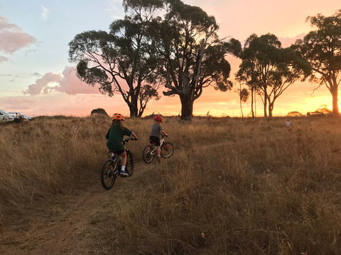 Mountain Bike Trails Tumbarumba - Accommodation Cairns 2