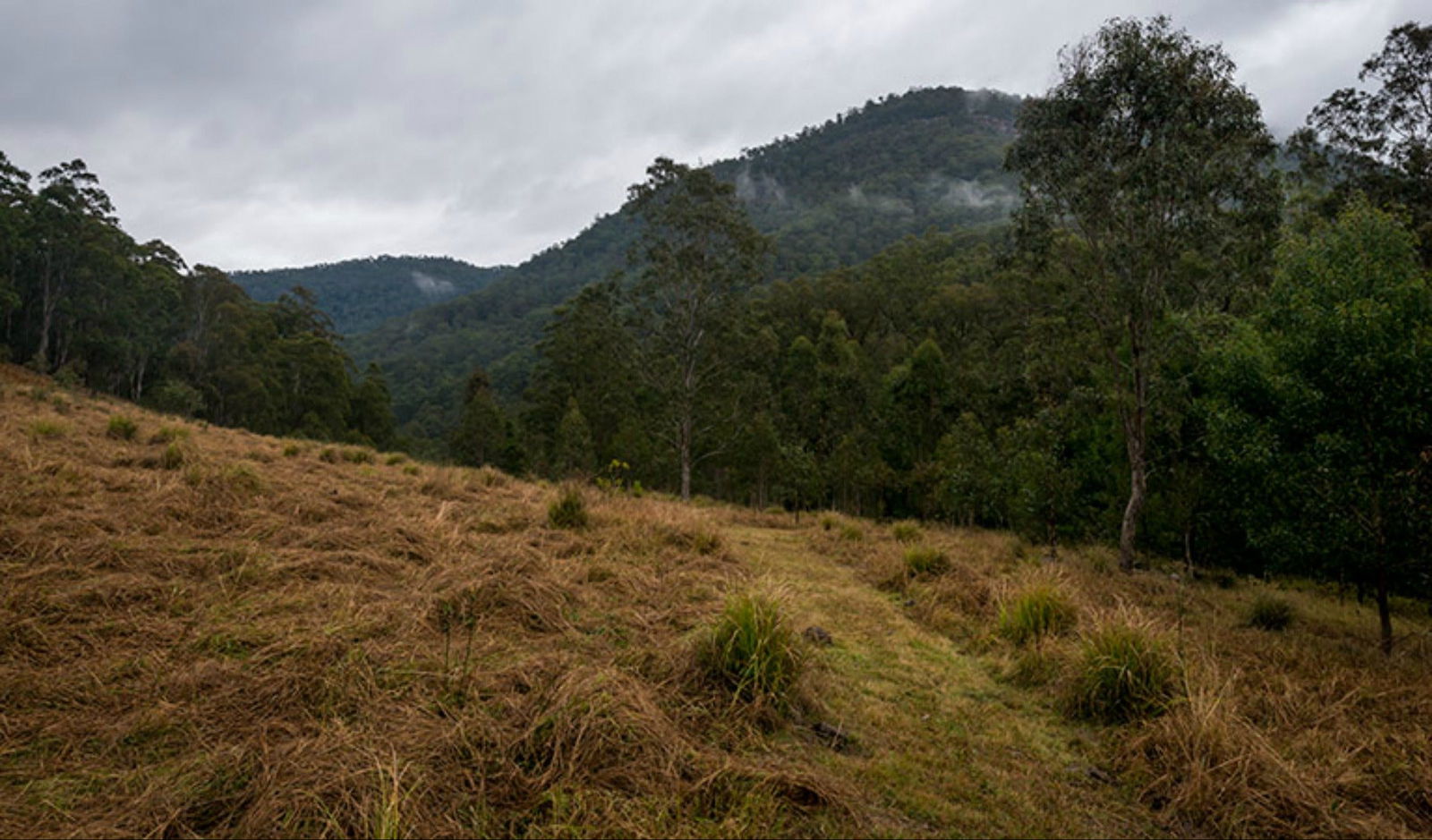 Kentucky South NSW Accommodation Cairns