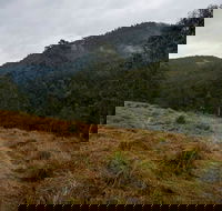 Nowendoc National Park - Accommodation Cairns