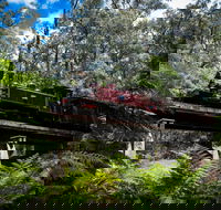 Puffing Billy Railway - Accommodation Cairns