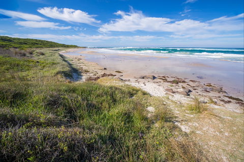 Racecourse Beach: Bawley Point - Accommodation Cairns 0