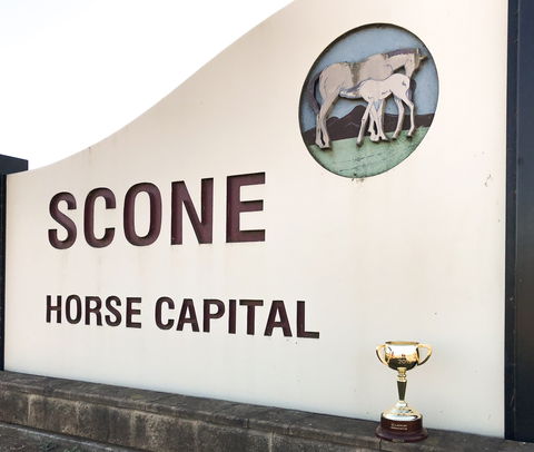 Scone - Accommodation Cairns 1