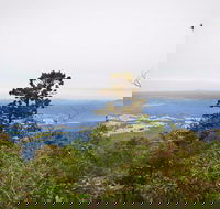 Slingsbys Trail and Syndicate Ridge Track - Accommodation Cairns