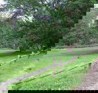 St Albans Reserve - Accommodation Cairns