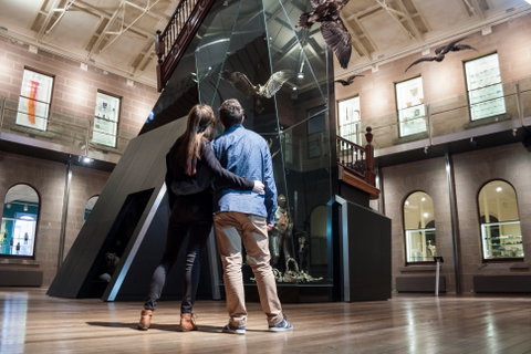 Tasmanian Museum And Art Gallery - Accommodation Cairns 1