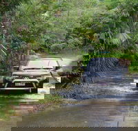 The Pioneer Valley and Eungella National Park - Accommodation Cairns