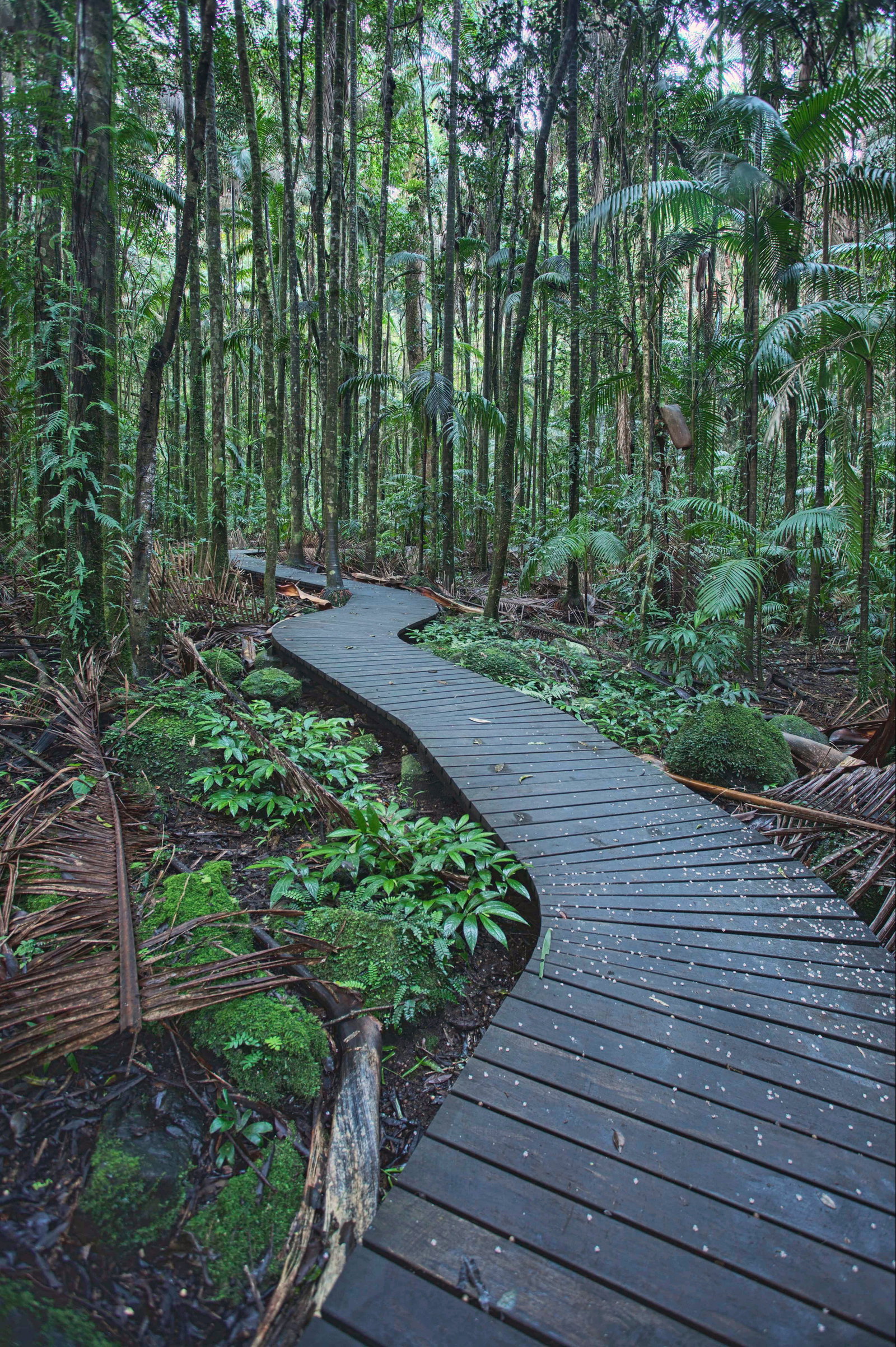 Lagoon Grass NSW Accommodation Cairns