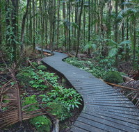 The Channon Protesters Falls Nimbin and Mount Nardi - Accommodation Cairns