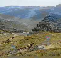 Thredbo Mountain Biking - Accommodation Cairns