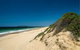 Tyagarah Nature Reserve Picnic Area - thumb 0