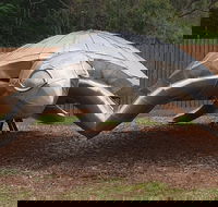 Underwater Marine Sculptures - Accommodation Cairns