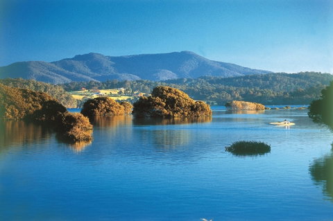 Wagonga Picnic Area - Accommodation Cairns 0