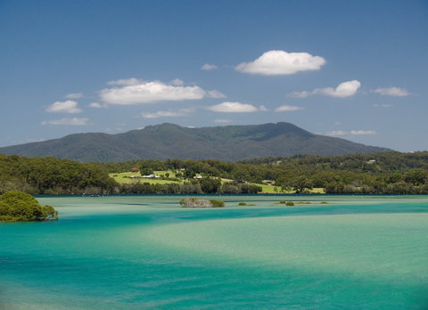 Wagonga Picnic Area - Accommodation Cairns 1