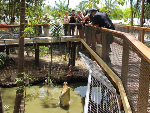 Wildlife Habitat - Accommodation Cairns 2