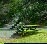 Williams River picnic area - Accommodation Cairns