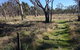 Wyperfeld National Park - thumb 2