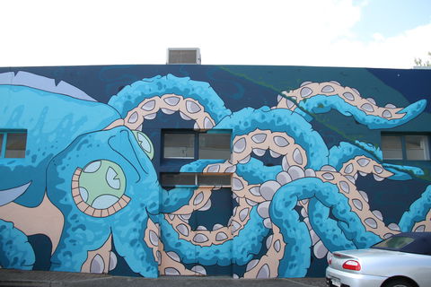 Adelaide Fringe Street Art Explosion - Accommodation Cairns 2