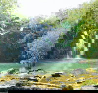 Airlie Beach to Cedar Creek Falls - Accommodation Cairns