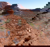 Finke Gorge National Park - Accommodation Cairns