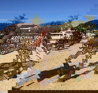 Gundersen Reserve - Accommodation Cairns