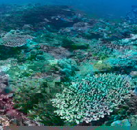 Hanging Rock Dive Site - Accommodation Cairns