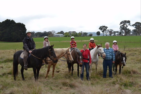 High Country Trail Rides - Accommodation Cairns 0