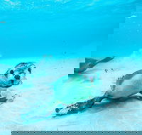 Jurien Bay - Accommodation Cairns