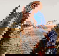 Katherine Outback Experience - Horse Riding Experience - Accommodation Cairns