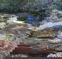 Liffey Falls Reserve - Accommodation Cairns