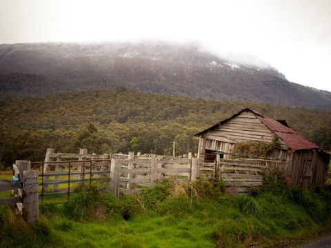 Liffey Falls Reserve - Accommodation Cairns 2