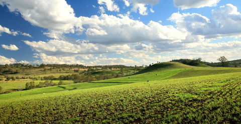 Lions Park, Hodgson Vale - Accommodation Cairns 0