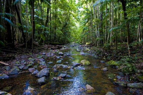 Nambucca Valley - Accommodation Cairns 0