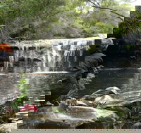 Nellies Glen Picnic Area - Accommodation Cairns