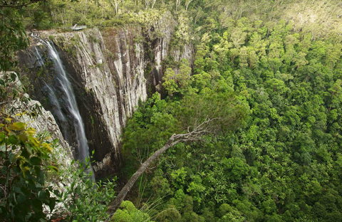 Nightcap National Park - Accommodation Cairns 0