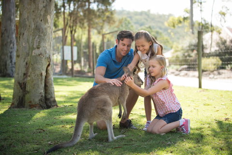 Paradise Country - Accommodation Cairns 2