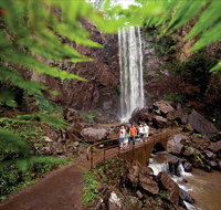 Queen Mary Falls circuit Main Range National Park