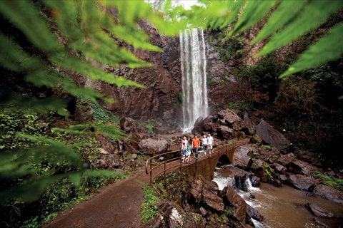 Queen Mary Falls Circuit, Main Range National Park - Accommodation Cairns 0