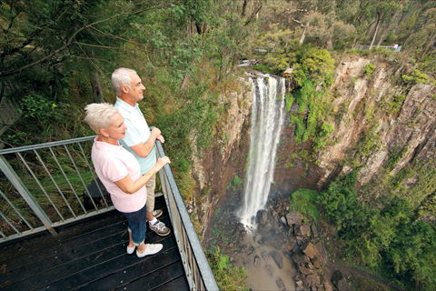 Queen Mary Falls Circuit, Main Range National Park - Accommodation Cairns 1