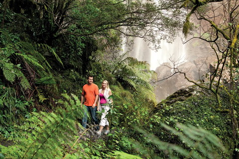 Queen Mary Falls Circuit, Main Range National Park - Accommodation Cairns 2