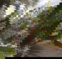 Roraima Nursery and Cafe - Accommodation Cairns