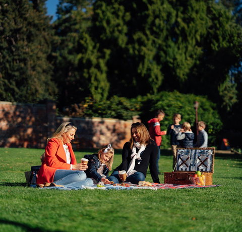 Royal Tasmanian Botanical Gardens - Accommodation Cairns 0