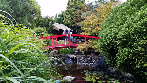 Royal Tasmanian Botanical Gardens - Accommodation Cairns 1