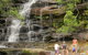 Somersby Falls Picnic Area - thumb 0