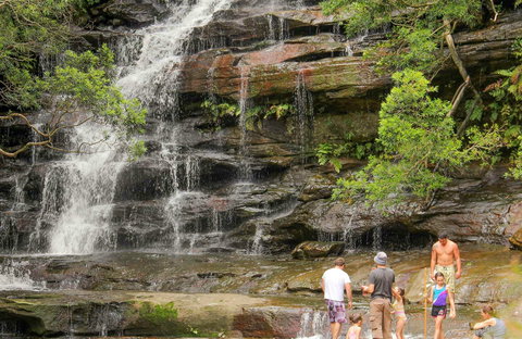 Somersby Falls Picnic Area - Accommodation Cairns 0